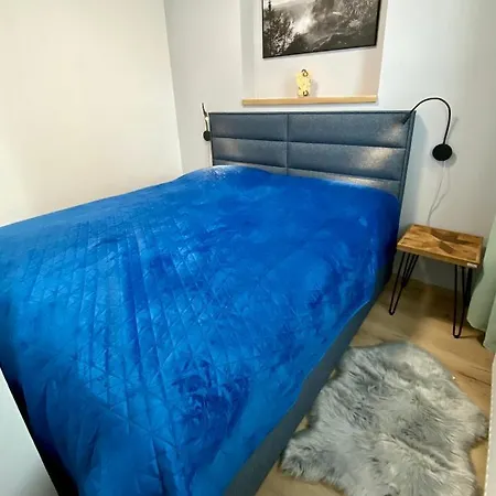Apartment Berta's Decin