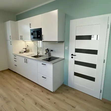 Berta's Apartament Decin