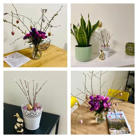 Berta's Apartament Decin